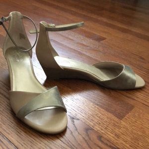 Seychelles Wedge Sandal with Ankle Strap